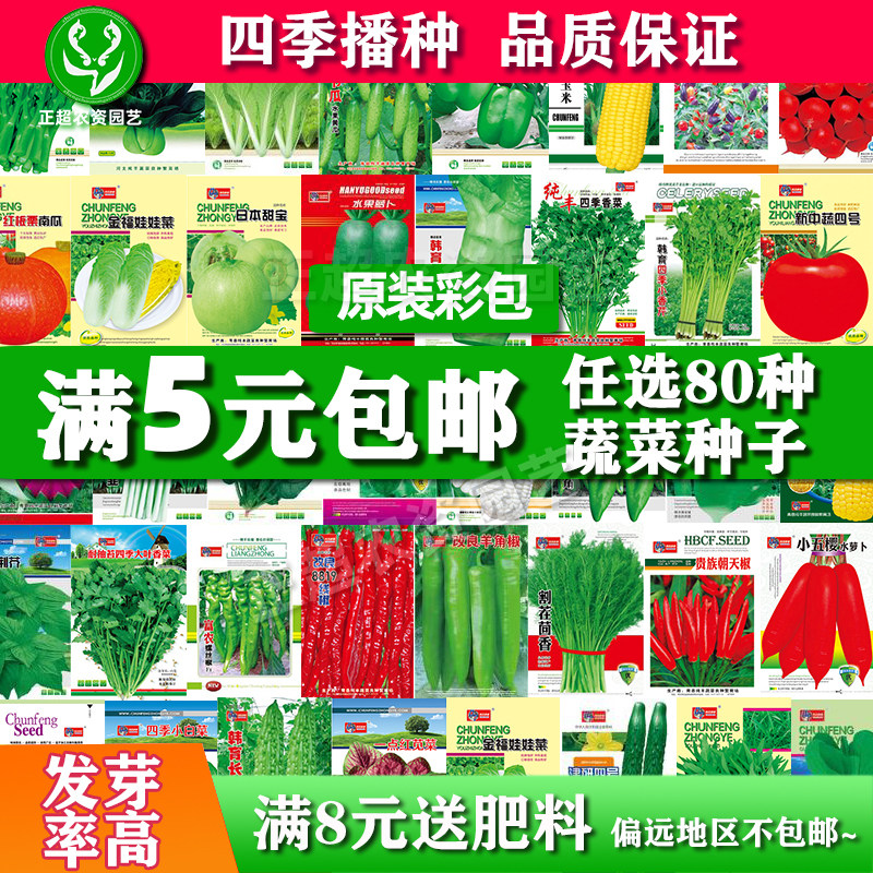 精选蔬菜种子种籽菜籽种彩包四季生菜种孑朝天椒种阳台芦笋种盆栽_虎窝淘