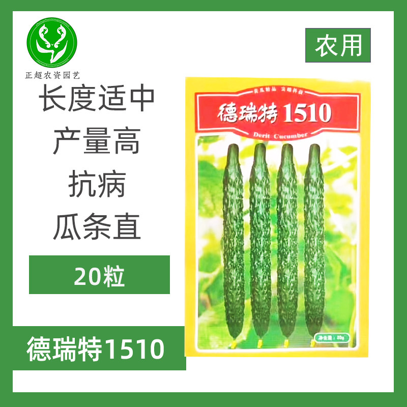 德瑞特1510黄瓜种子小袋装高产抗病耐热瓜条直高产密刺型大田专用