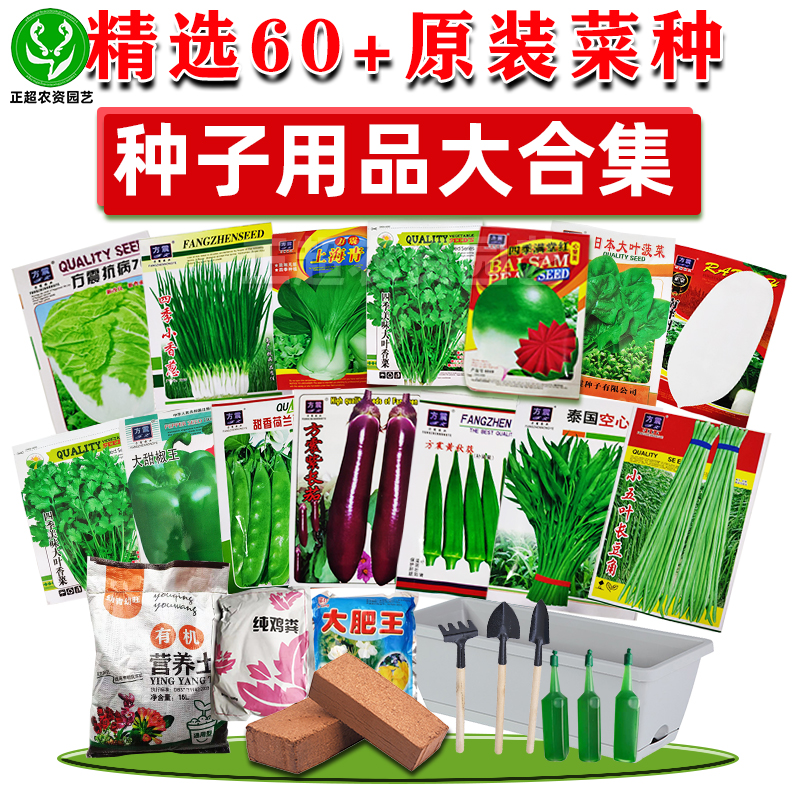 红包四季蔬菜种子种籽菠菜香菜小葱韭菜菠菜辣椒阳台春夏园艺籽种_虎窝淘