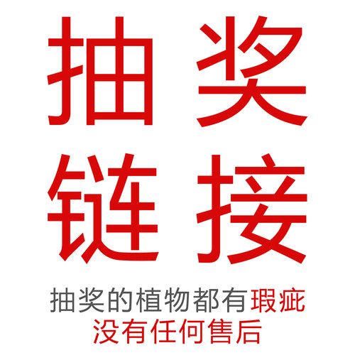抽奖植物都有瑕疵没有任何售后介意者不要参与