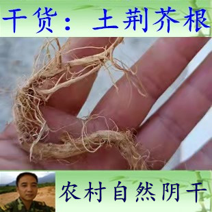 250克 包邮 干货纯根  土荆芥 臭草 红泽兰 天仙草 钩虫草 杀虫芥