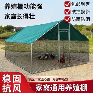 户外养鸡棚防雨棚养殖棚鸡窝室外家禽鸡笼子防暴雨鸽舍宠物养殖