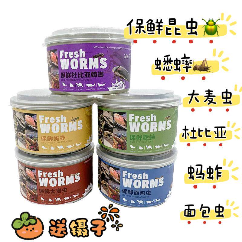 【保鲜昆虫】蜜袋鼯昆虫罐头杜比亚蚂蚱蟋蟀大麦虫面包虫高蛋白