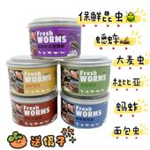 保鲜昆虫 蜜袋鼯昆虫罐头杜比亚蚂蚱蟋蟀大麦虫面包虫高蛋白