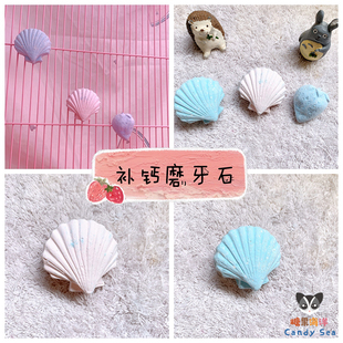 贝壳矿物质加钙补钙磨牙石 龙猫 鹦鹉磨嘴石 松鼠 CandySea蜜袋鼯