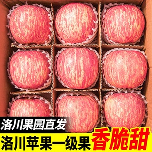 包邮 陕西洛川高山苹果10斤水果新鲜当季 整箱红富士冰糖心脆甜正宗