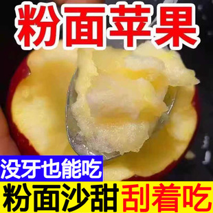 2025新鲜粉面沙甜红星苹果红香蕉宝宝刮泥婴儿老人孕妇水果非蛇果