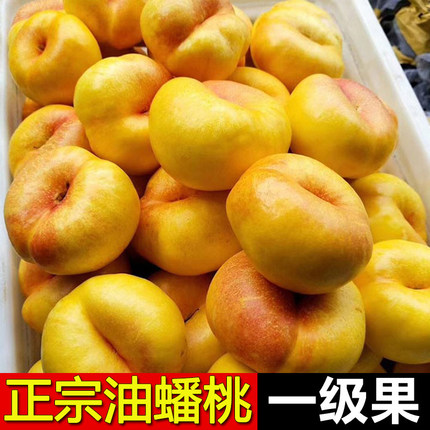 黄金油蟠桃新鲜水果当季整箱蒙阴时令水果孕妇脆桃彩虹油蟠桃扁桃