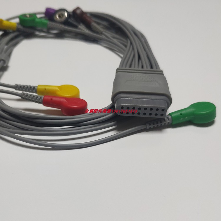 理邦动态心电导联线原装理邦心电线理邦动态心电图工作站SE2012