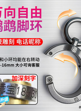 2026万向旋转鹦鹉脚环316不锈钢鸟用脚链脚环放飞脚链折衷玄凤