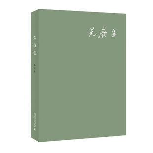 正版现货 荒废集 作者:陈丹青出版社:广西师范大学出版社