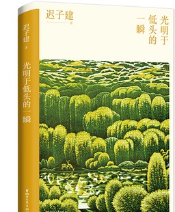 正版现货 光明于低头的一瞬 最新版 茅盾文学奖得主迟子建散文自选集 名家经典文学作品选集 中学生读本正版书籍