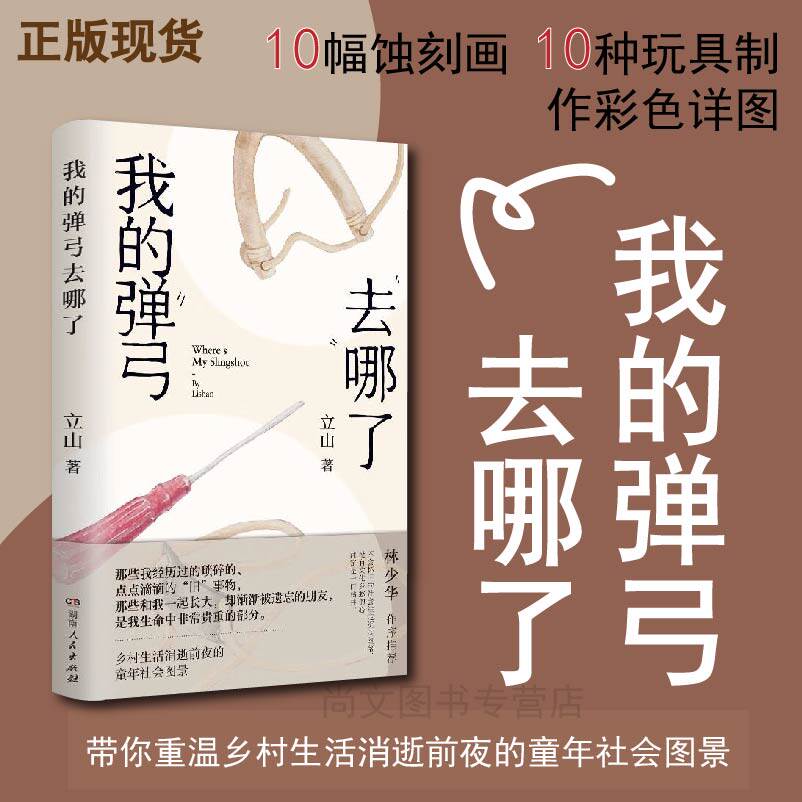 赠书签 我的弹弓去哪了 正版 立山著 全书遵循时间脉络 以十种童年时代流行的玩具为线索来架构全书故事 现代文学 湖南人民出版社