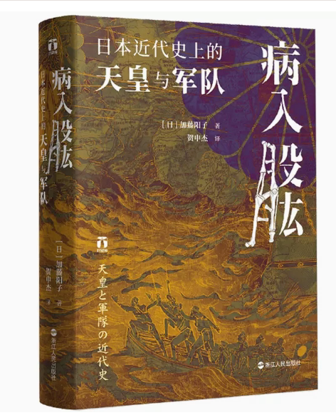 好望角丛书·病入股肱