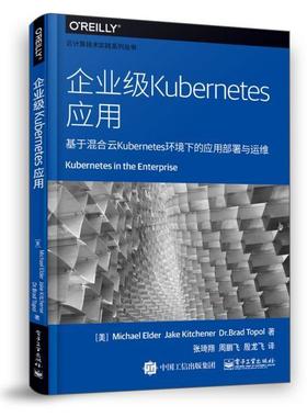 正版现货：企业级Kubernetes应用9787121369360  工业出版社