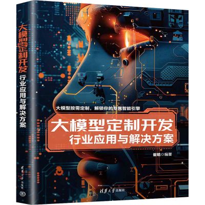 正版现货: 大模型定制开发 行业应用与解决方案 9787302673804 清华大学出版社