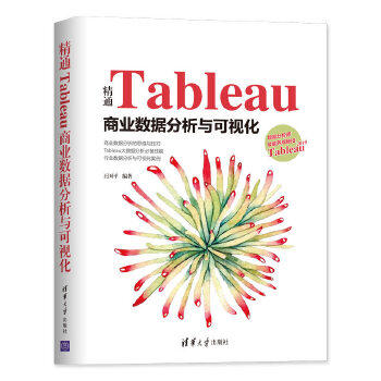正版现货： 精通Tableau商业数据分析与可视化 9787302540427 清华大学出版社 王国平