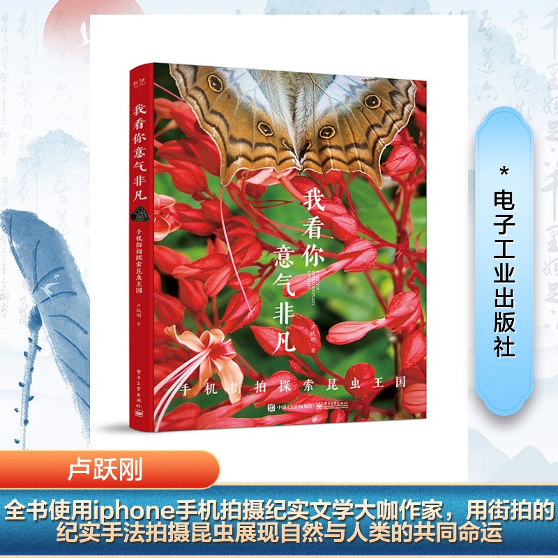 正版现货 我看你意气非凡:手机街拍探索昆虫王国 电子工业出版社 9787121466199