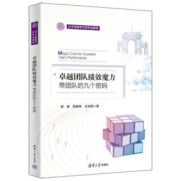 现货正版:卓越团队绩效魔方：带团队的九个密码（清华终身学习出版物）9787302597803清华大学