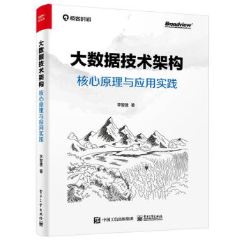 正版现货：大数据技术架构：核心原理与应用实践 9787121414183电子工业出版社李智慧著