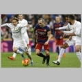 Fcb1877 Xiaobai
