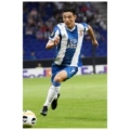 Wl46 Wu Lei No. 7