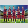 Fcb1832 Stars