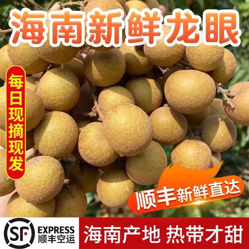 海南三亚龙眼新鲜现摘5斤热带孕妇水果当季石硖桂圆高端新鲜水果