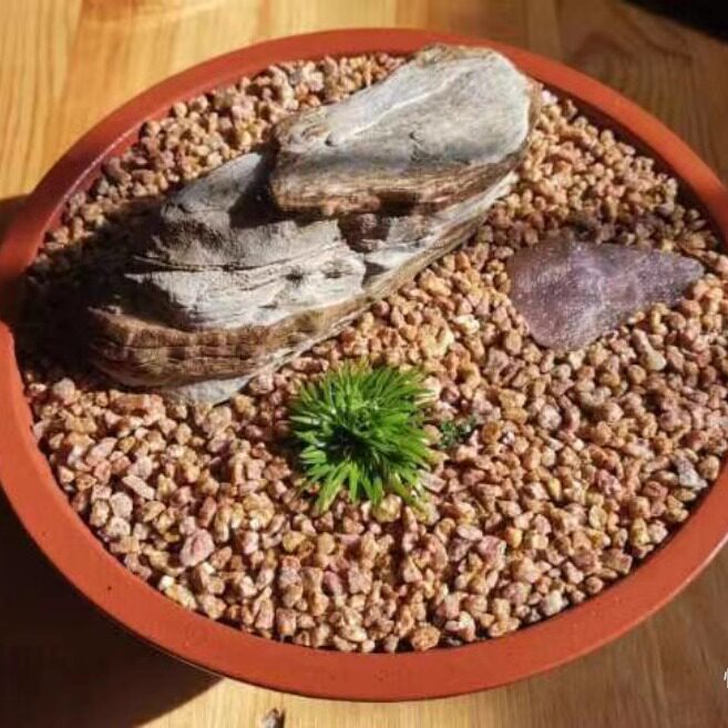 迷你菖蒲禄值室内假山美观