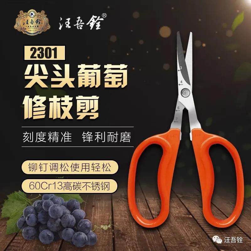 WANG WUQUAN 스테인레스 스틸 60CR13 스트레이트 헤드 클램프 스케일 포도 가위 2301-3 무료 배송