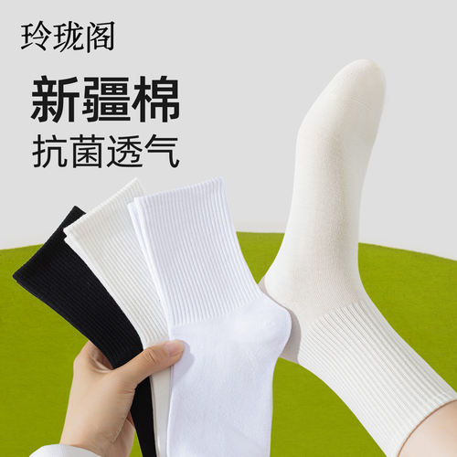 2025新款防臭吸汗透气中筒袜