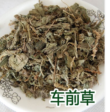 车前草500克 中草药  车轮菜 田灌草 纯正新货 量大包邮