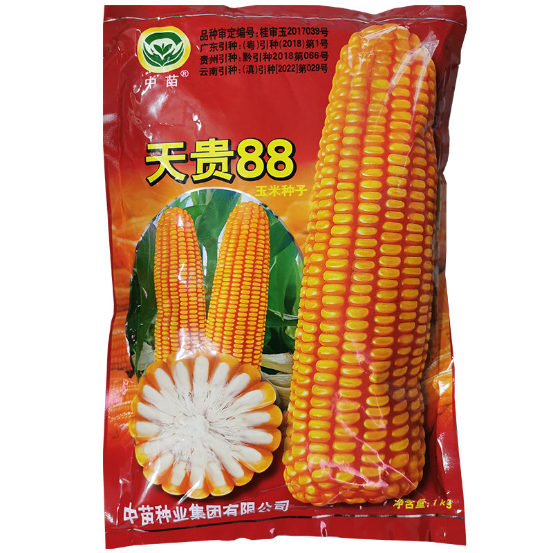 天贵88玉米种子杂交大棒抗倒伏杂交饲料玉米种籽,农用物资,花卉林木种子/种苗/种球,淘宝优惠券,粉丝福利购,淘宝优惠卷