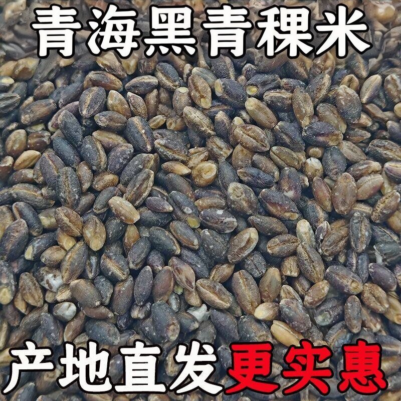 青海黑青稞米产地直发品质保证