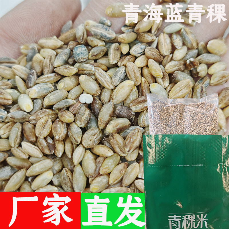 青海蓝青稞米高原新米代餐