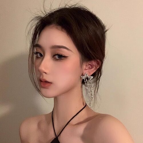 星星流苏耳环高级感小众设计耳钉