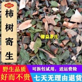 柿子寄生 野柿寄生 切段干品 柿树寄生 广西野生