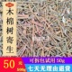 切段干品500g 红棉寄生 广西十万大山 木棉树槲寄生
