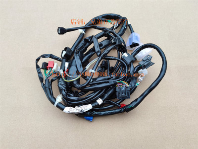 新大洲本田摩托SDH110T-3 NS110i主线束大线全车线32100-K48 -E02