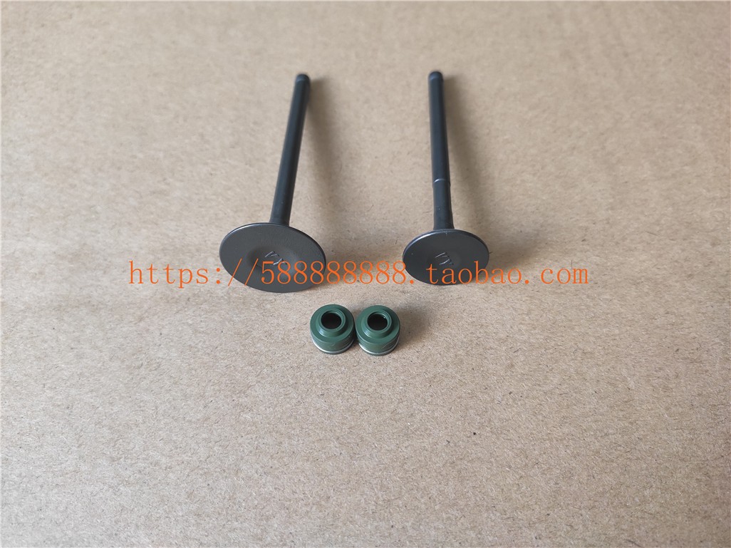 新大洲本田110T-3-5-7进排气门