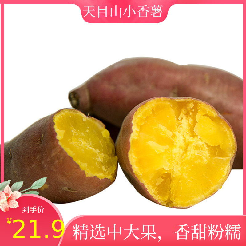 天目山小香薯5斤临安小红薯黄心板栗山芋紫薯番薯地瓜现挖中大果