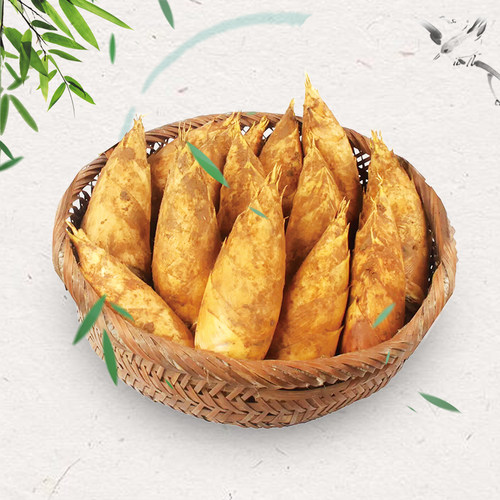 新鲜冬笋去除老根冬笋