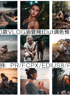 finalcutprox调色插件vlog剪辑视频燃烧的陀螺仪lut滤镜包pr/fcpx