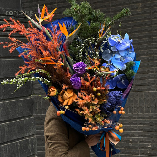 蝴蝶兰帝王花生日礼北京同城速递