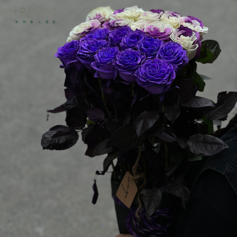 厄瓜多尔玫瑰紫七夕北京同城鲜花