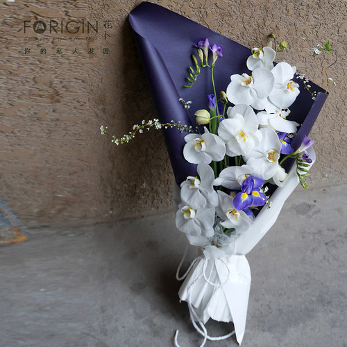 蝴蝶兰北京生日鲜花速递教师节