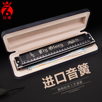 Harmonica senior adult professional men and women 24 hole polyphonic performance level feihuangkou organ preliminary practice advanced instrument