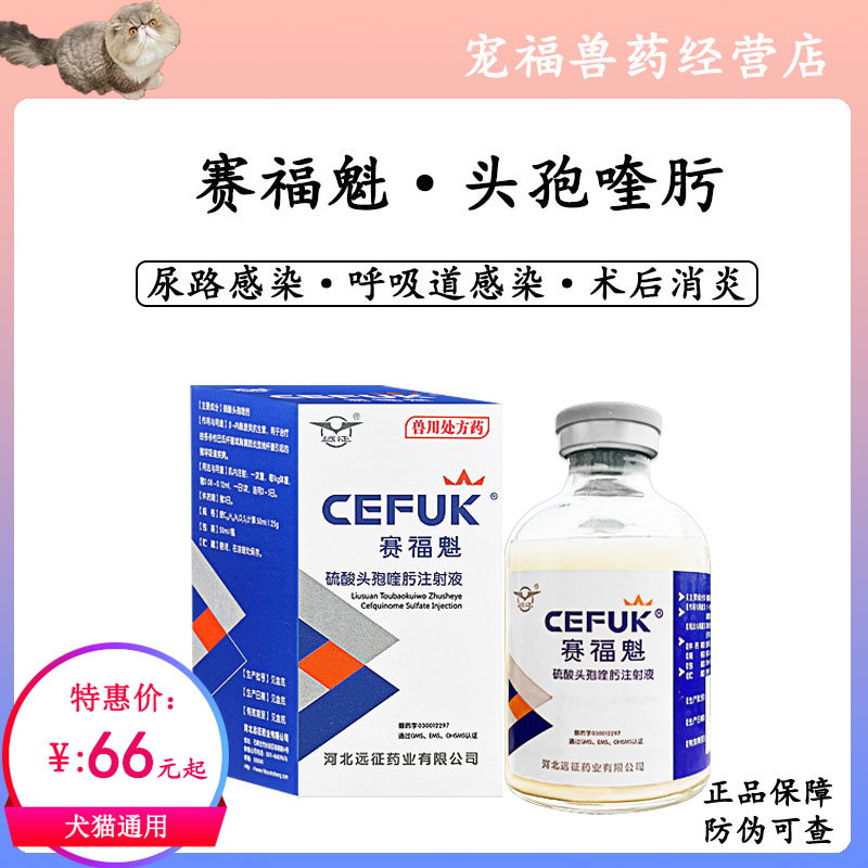 賽?？秩鹛仡^孢喹膚肟鈉寵物犬貓鼻支口炎狗手術后消炎泌尿感染