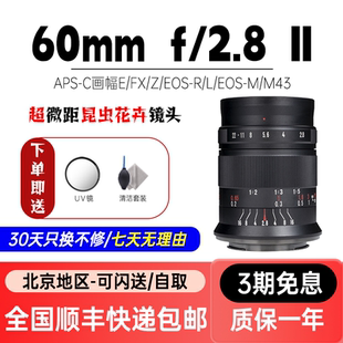 M200 1倍超微距昆虫花卉适用E口富士Z50ZFC 七工匠60mm F2.8二代1