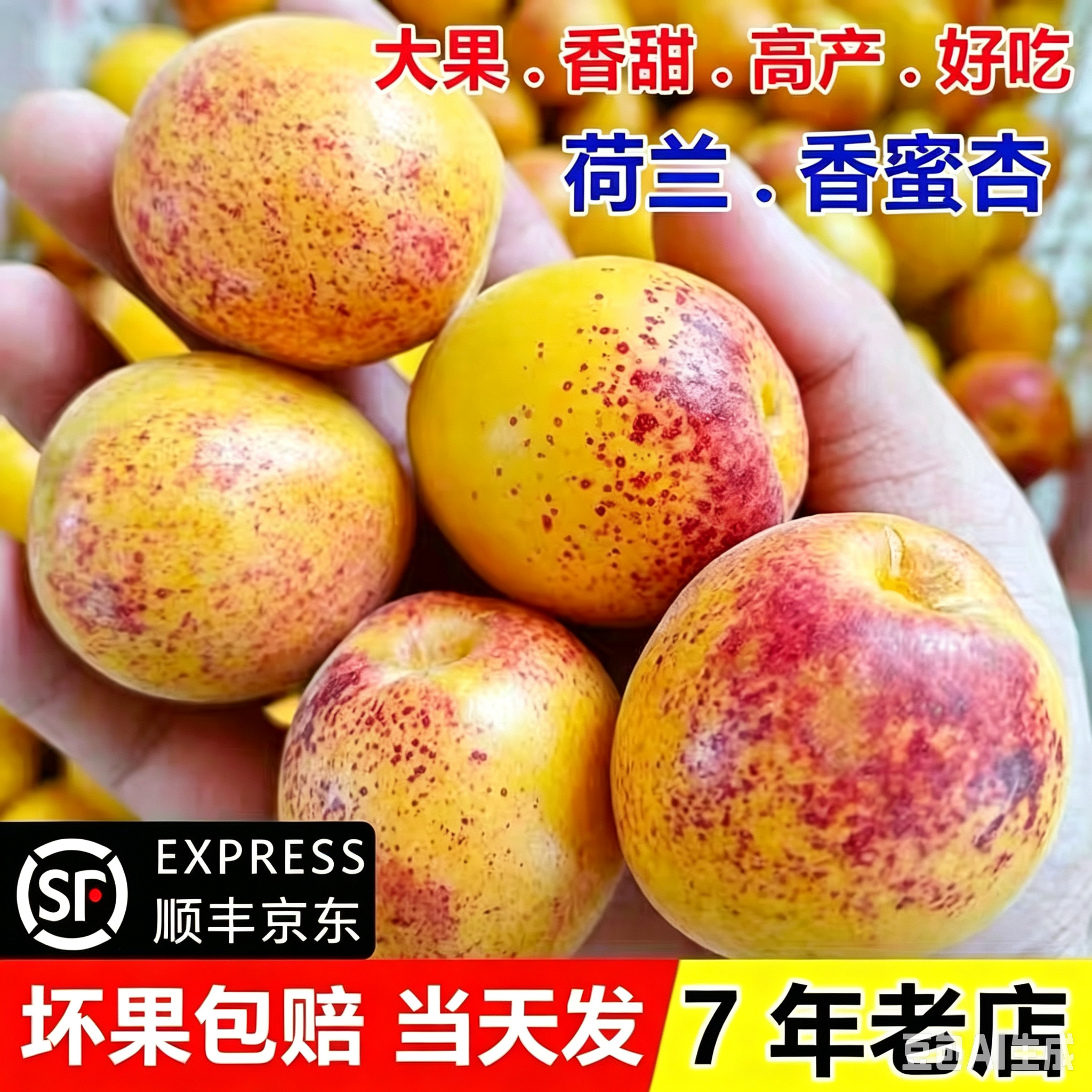 顺丰荷兰香蜜杏应季水果现摘现发营养香甜精选自然熟大果LL